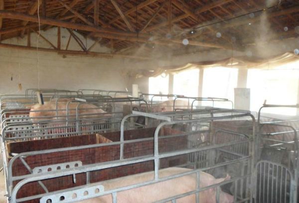 養(yǎng)豬場(chǎng)消毒